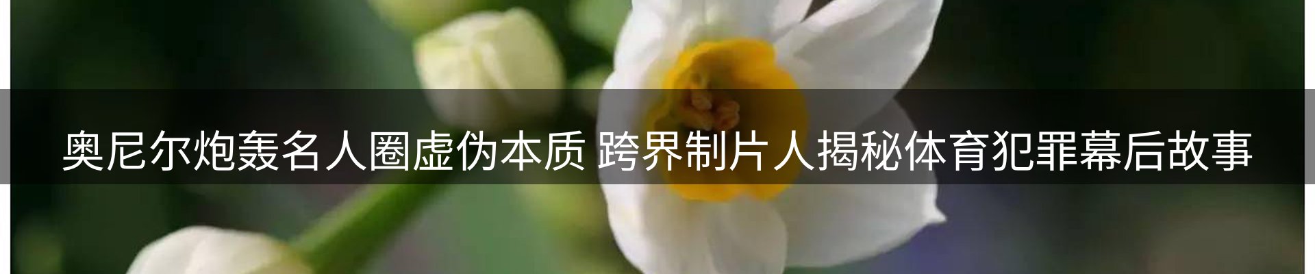 资讯动态