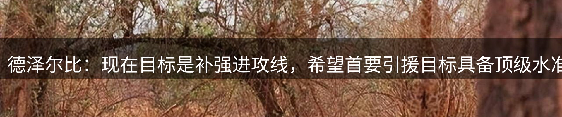 资讯动态