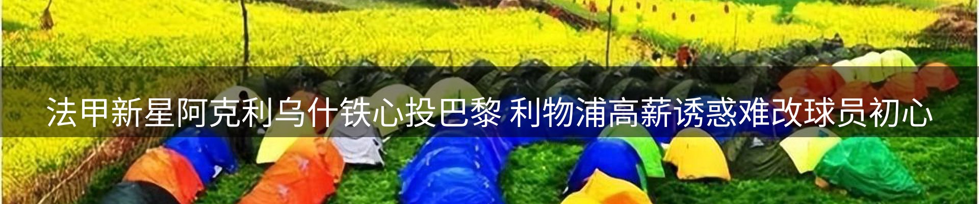 资讯动态