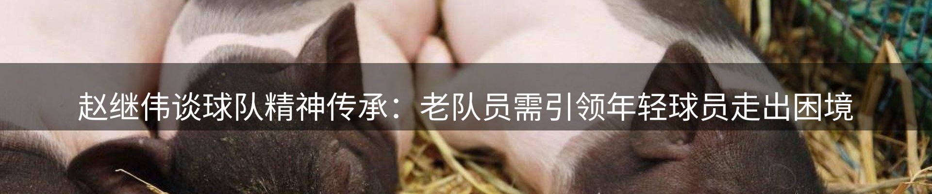 平台资讯
